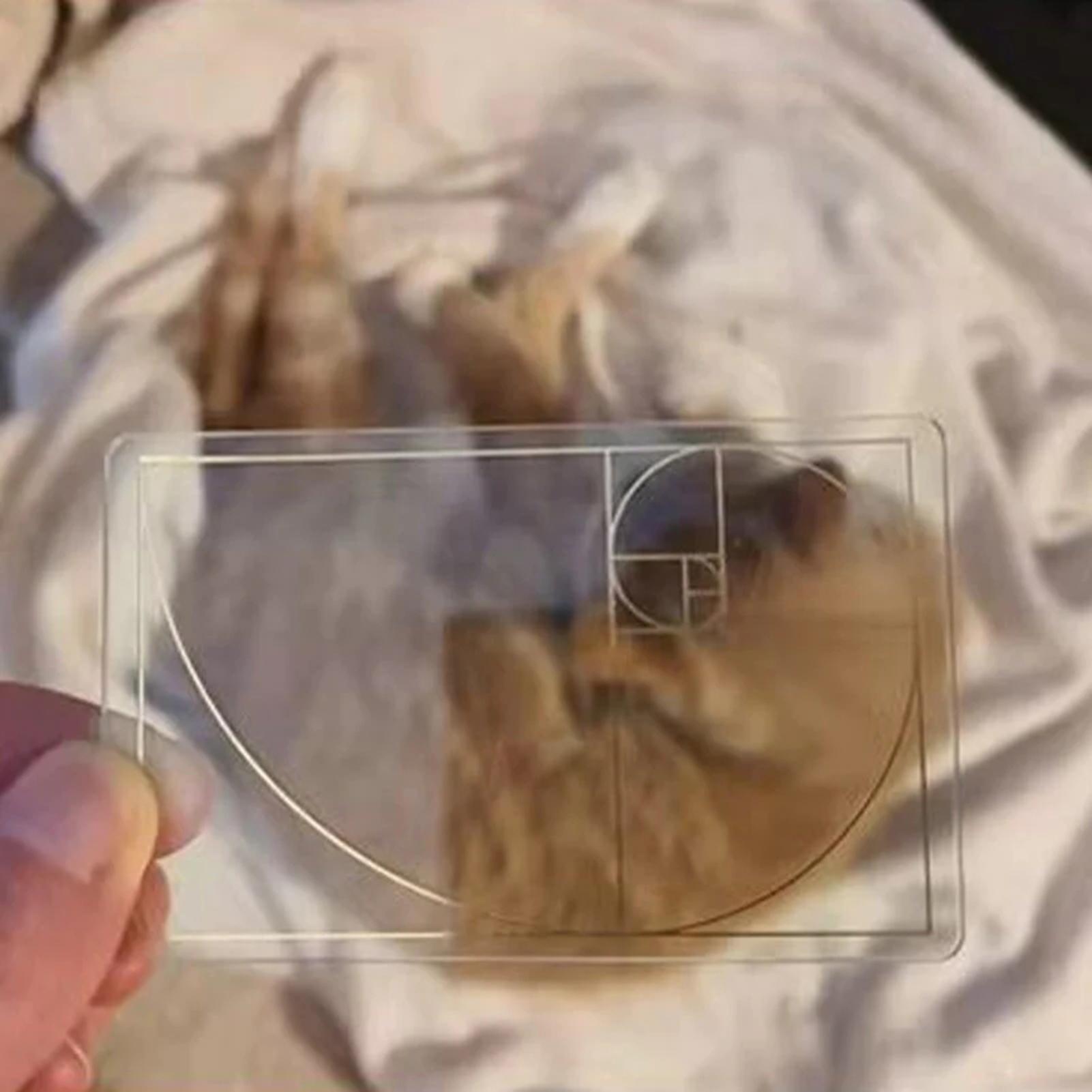 View Finder for Drawing Golden - Photography Golden Ratio 리뷰 및 가격