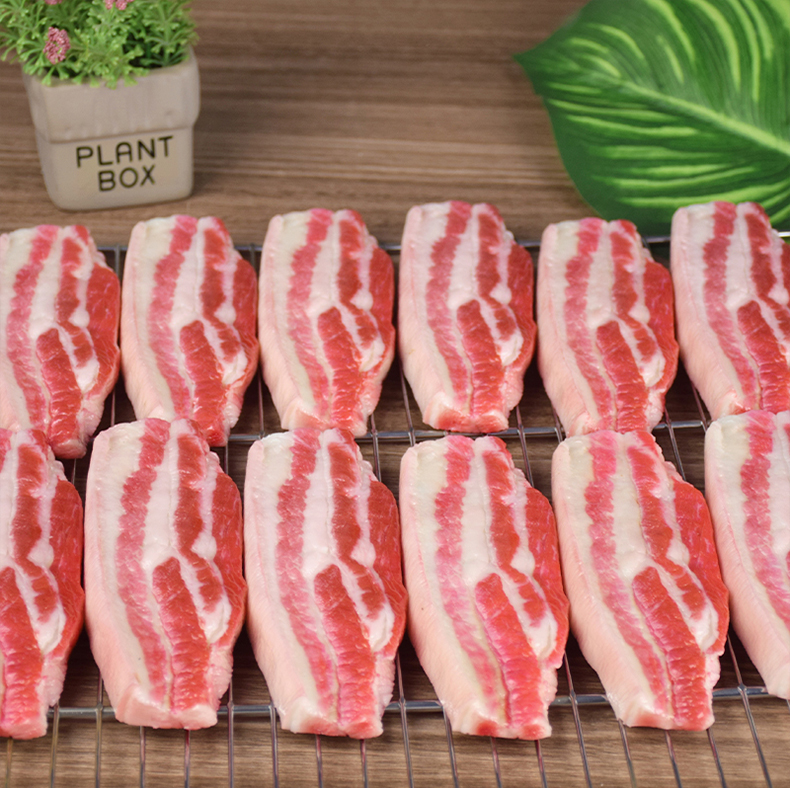 Realistic Fake Sliced Meat - S - Photography Jokes 리뷰 및 가격
