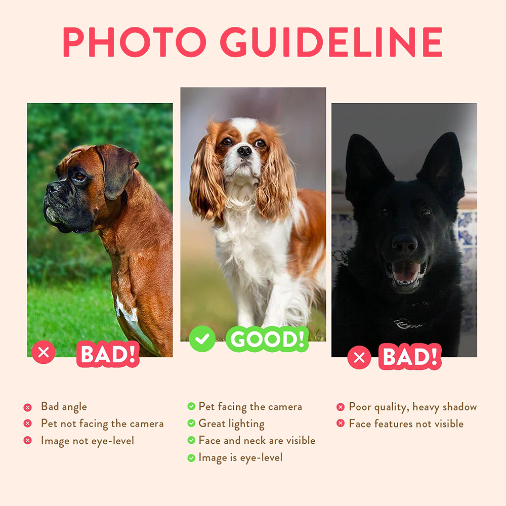 Personalized Pet Portraits Pho - Photography Object 리뷰 및 가격