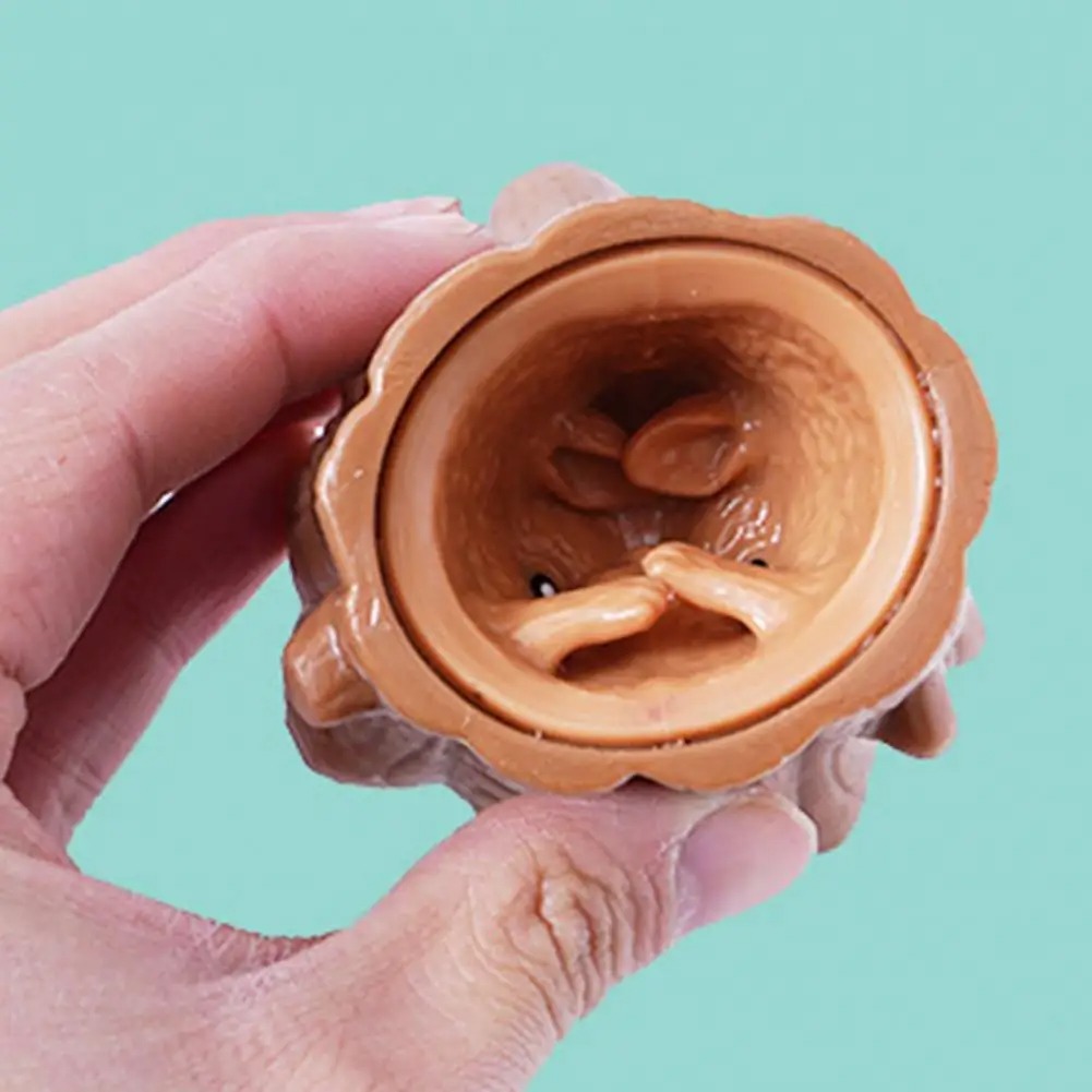 Pop Up Funny Mouse And Cheese  - Photography Jokes 리뷰 및 가격