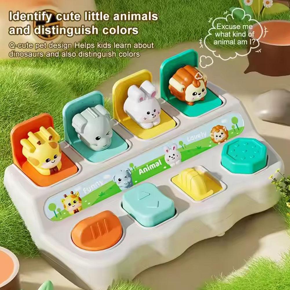Montessori Pop up Animal Toys  - Photography Jokes 리뷰 및 가격