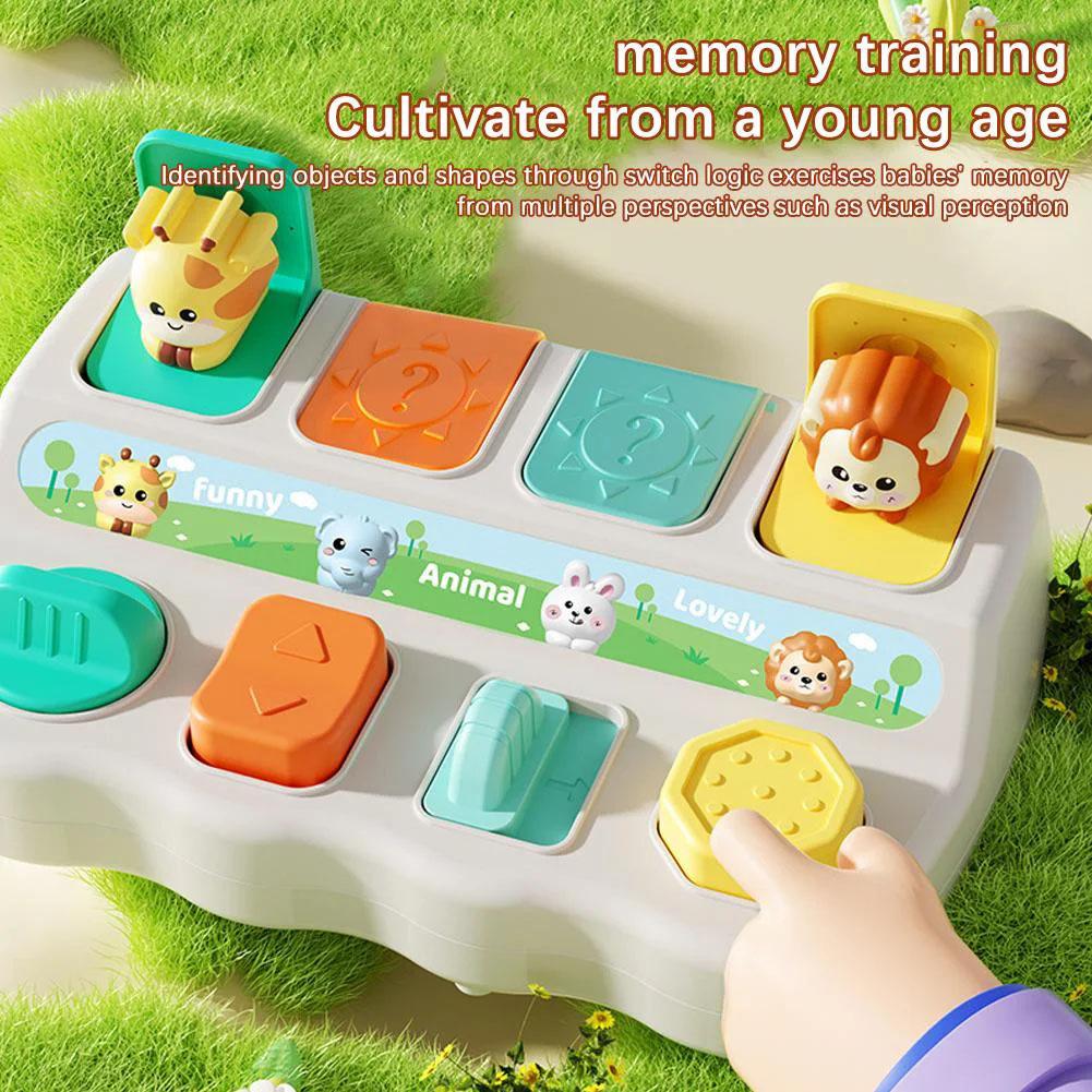 Montessori Pop up Animal Toys  - Photography Jokes 리뷰 및 가격