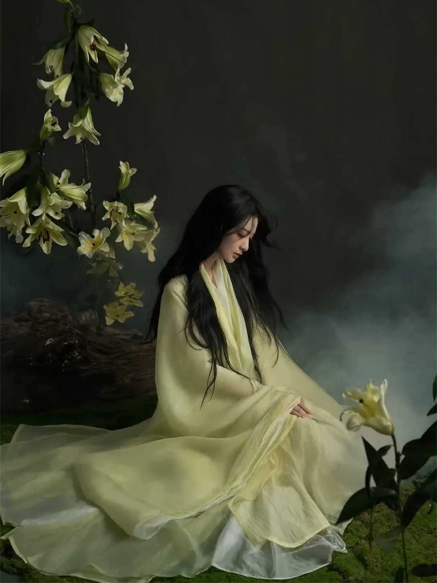 Elegant Hanfu Photography Cost - Photography Of War 리뷰 및 가격