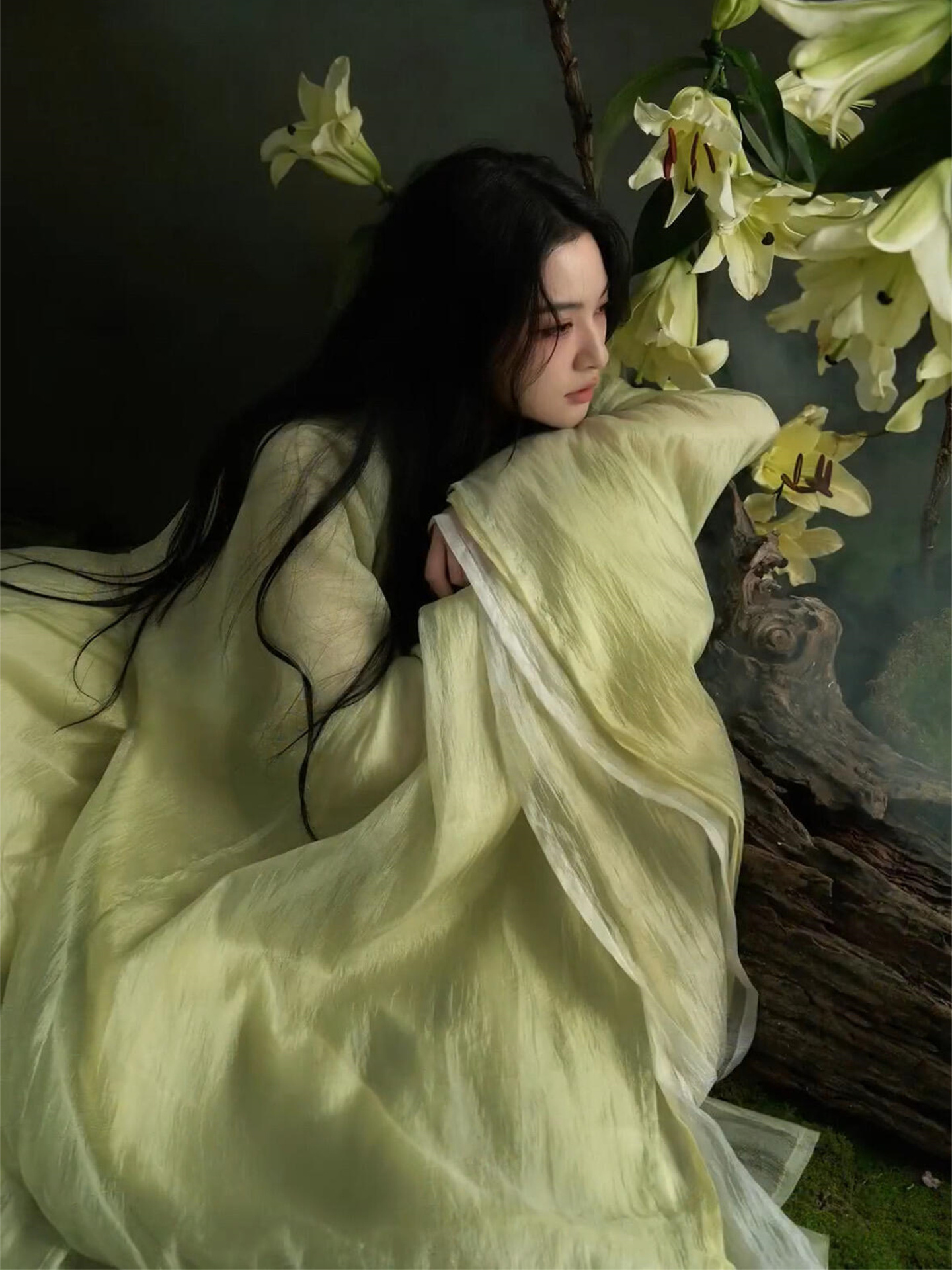 Elegant Hanfu Photography Cost - Photography Of War 리뷰 및 가격