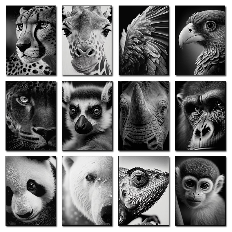 Wildlife Animals Photography P - Photography Close Up 리뷰 및 가격
