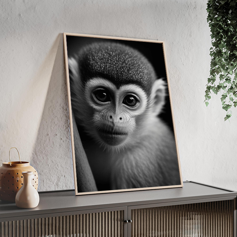 Wildlife Animals Photography P - Photography Close Up 리뷰 및 가격