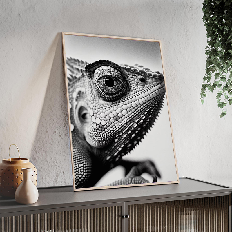 Wildlife Animals Photography P - Photography Close Up 리뷰 및 가격