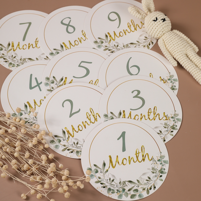 Newborn Photography Paper Leaf - Photography Paper 리뷰 및 가격
