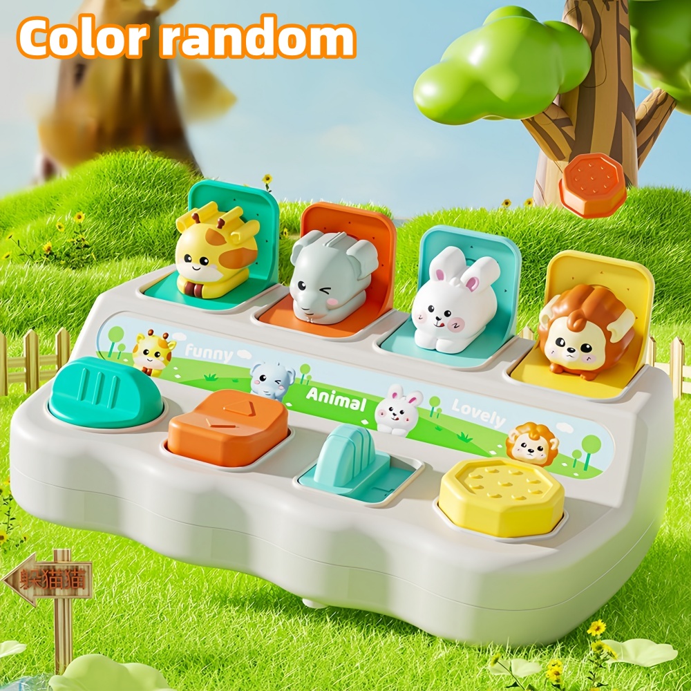 Best-Selling Montessori Animal - Photography Jokes 리뷰 및 가격