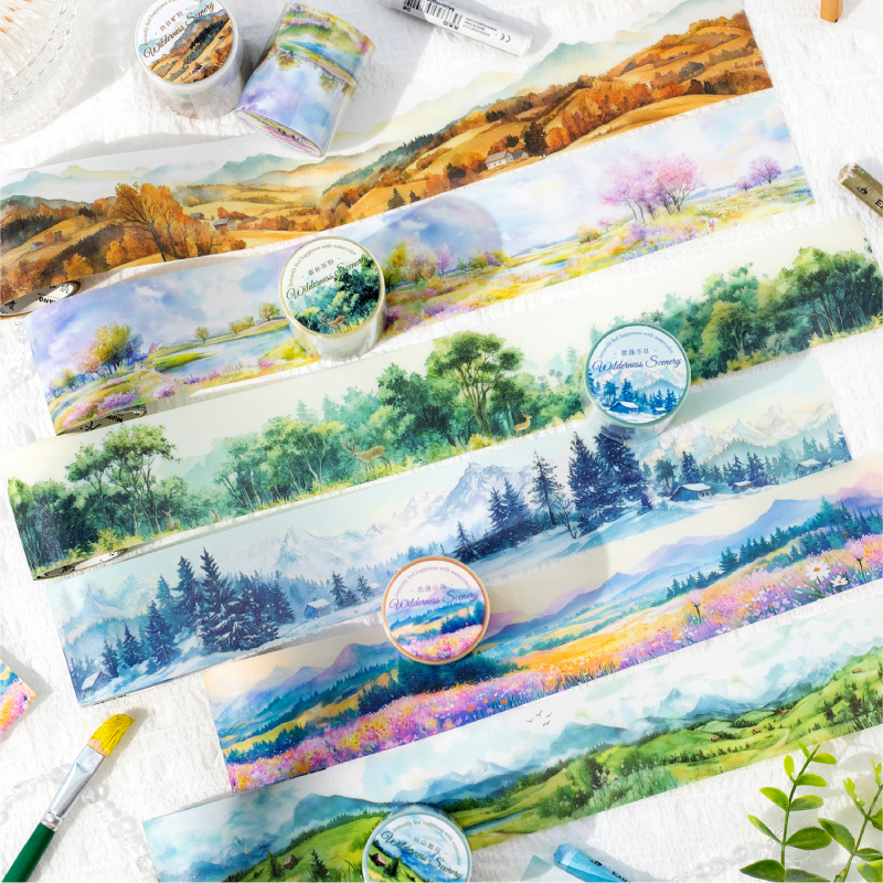 50mm*2m PET Tapes Beautiful sc - Photography Journal 리뷰 및 가격