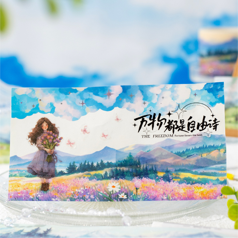 50mm*2m PET Tapes Beautiful sc - Photography Journal 리뷰 및 가격
