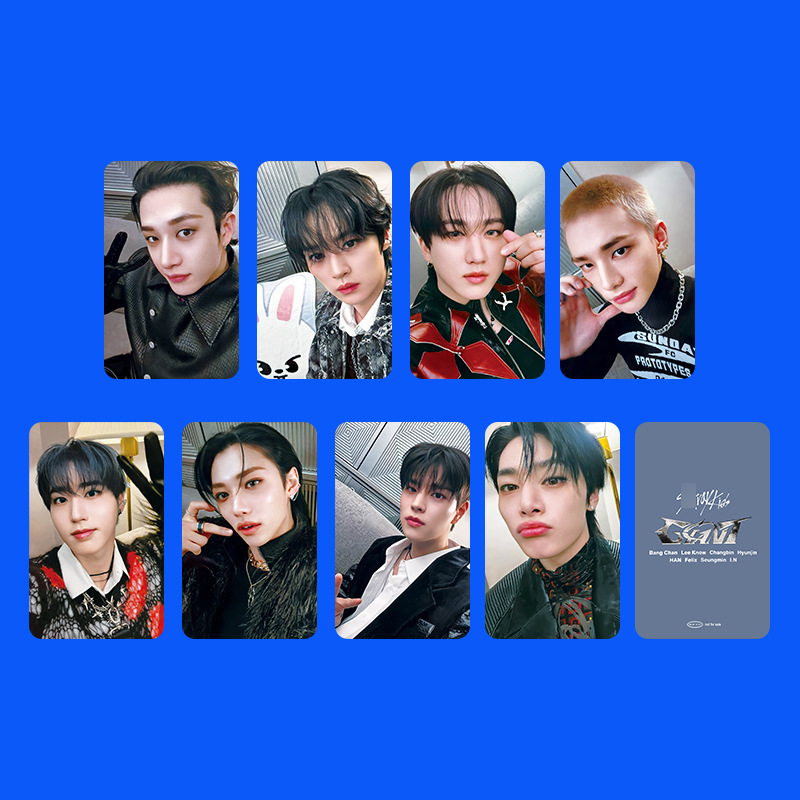 8 PCS K-pop Straykids' profile - Photography Paper 리뷰 및 가격